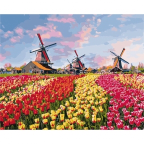 Картина за номерами Барвисті тюльпани Голландії 40 х 50 см КНО2224