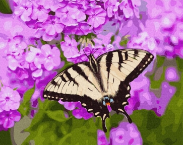 Картина по номерам Бабочка в цветах 40 х 50 см Brushme GX27423