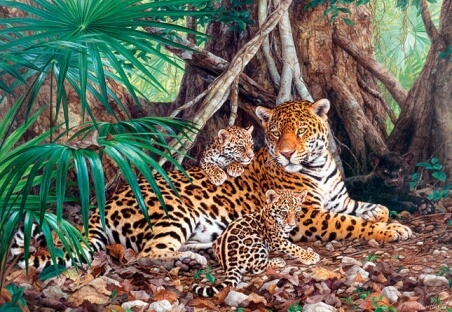 Пазл Ягуари в джунглях 3000 ел