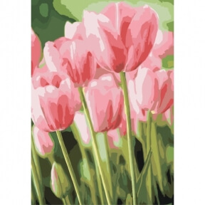 Картини за номерами Весняні тюльпани 35 х 50 см Ідейка КНО2069