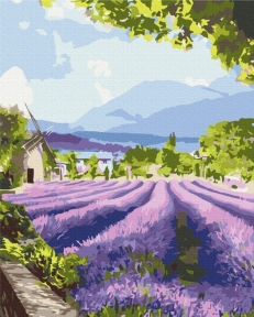 Картини за номерами Два світи Провансу 2 48x60 Brushme BS53742L