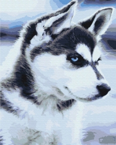 Картини за номерами Цуценя Хаски 40x50 Brushme BS21714