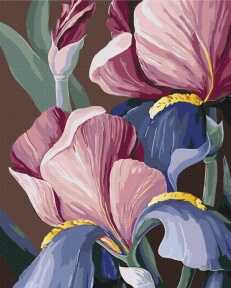 Картины по номерам Півники © Yana Biluhina 40x50 Brushme BS53760