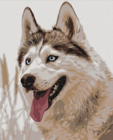 Картини за номерами Вовк 48x60 Brushme BS51763L