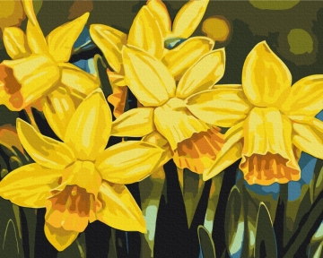 Картини за номерами Нарцисі © Anastasiia Osmolovska 40x50 Brushme BS53724