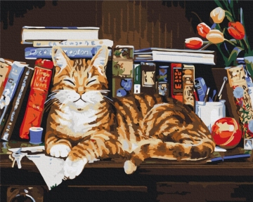 Картины по номерам Кот на книжной полке 48x60 Brushme BS4142L