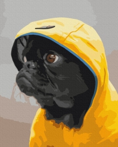 Картини за номерами Мопс у худи 48x60 Brushme BS52614L