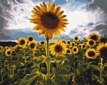 Картины по номерам Улочка в цветах 48x60 Brushme BS7451L