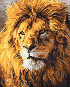 Картини за номерами Погляд на прайд 48x60 Brushme BS52292L