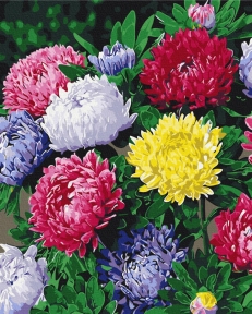 Картини за номерами Різнокольорові айстри 40x50 Brushme BS54120