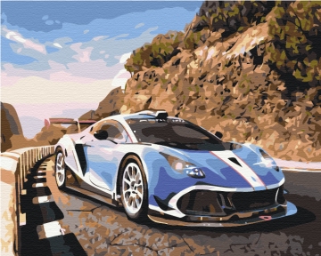 Картины по номерам Спорткар у гор 48x60 Brushme BS36390L