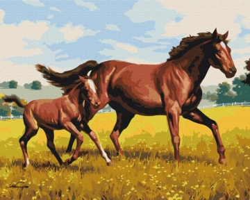 Картины по номерам Семейный галоп 48x60 Brushme BS52394L