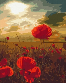 Картины по номерам Маки под палящим солнцем 40x50 Brushme BS51961
