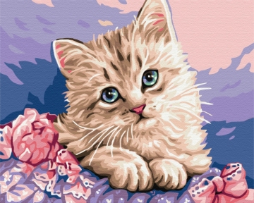 Картини за номерами Синьооке кошеня 48x60 Brushme BS29696L