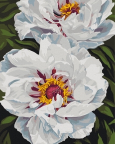 Картины по номерам Белое сияние © Анастасия Алехина 40x50 Brushme BS54477