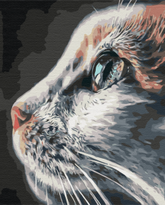Картины по номерам Котопрофиль 48x60 Brushme BS51792L