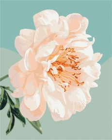 Картины по номерам Грация пиона © Halyna Vitiuk 40x50 Brushme BS53996