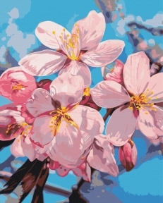 Картини за номерами Колір сливи © Anastasiia Osmolovska 40x50 Brushme BS54283