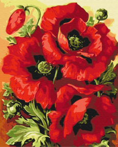 Картины по номерам Печать в маках 40x50 Brushme BS52284