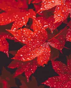 Картины по номерам Осеннее сердце в капельках 40x50 Brushme BS54397