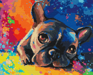 Картины по номерам Кольоровий бульдог 40x50 Brushme BS28895