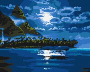 Картини за номерами Місячна ніч 48x60 Brushme BS33220L