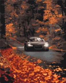Картины по номерам Осенняя дорога 48x60 Brushme BS53291L