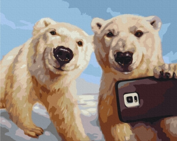 Картини за номерами Полярограм © Lucia Heffernan 40x50 Brushme BS53479