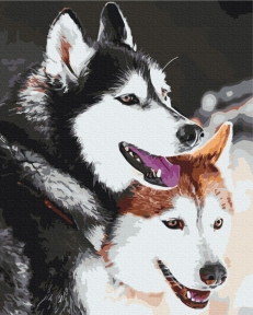 Картини за номерами Хаскі 48x60 Brushme BS28714L