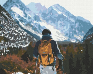 Картины по номерам Мандрівник в горах 40x50 Brushme BS52536