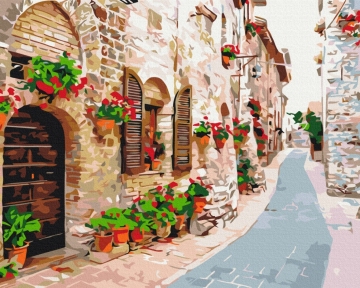 Картины по номерам Цветочная улица 48x60 Brushme BS34015L