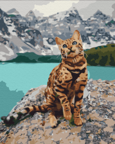 Картини за номерами Улюбленець у горах 40x50 Brushme BS33346