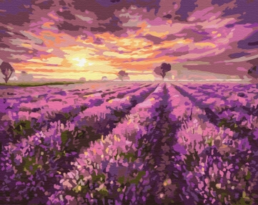 Картини за номерами Лавандовий захід сонця 40x50 Brushme BS3230