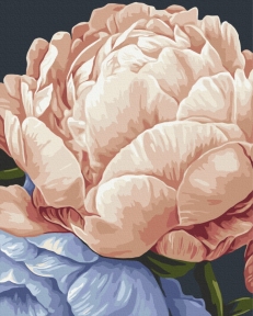 Картины по номерам Спокойствие в цветах © Анастасия Алехина 40x50 Brushme BS54473