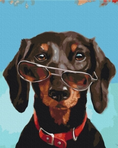 Картины по номерам Пан Pancho ©Lucia Heffernan 40x50 Brushme BS53508