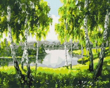 Картини за номерами Берізки з детства 40x50 Brushme BS52205