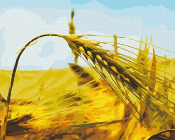 Картины по номерам Ржаной колос 48x60 Brushme BS6633L