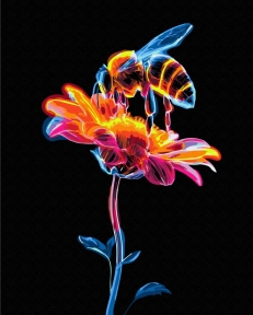 Картины по номерам Неоновый нектар 40x50 Brushme BSB0054