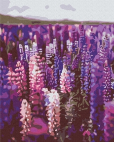 Картини за номерами Лаванда 48x60 Brushme BS52625L