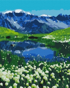 Картины по номерам Альпийские луга 48x60 Brushme BS39458L