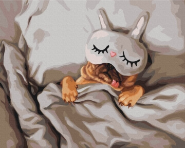 Картини за номерами Спляча красуня © Lucia Heffernan 40x50 Brushme BS53482