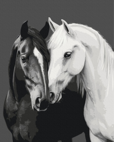 Картины по номерам Черное и белое сердце 40x50 Brushme BS54418