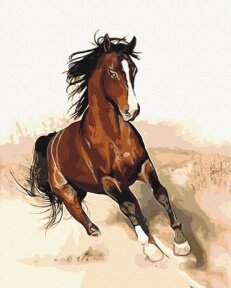 Картины по номерам Скакун в русі 40x50 Brushme BS52202