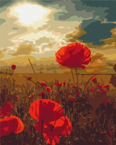 Картины по номерам Маки под палящим солнцем 48x60 Brushme BS51961L