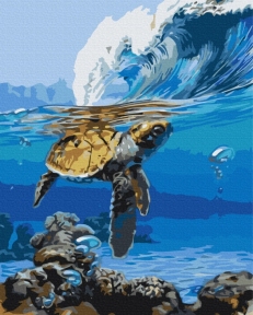 Картини за номерами В очікуванні серфера 48x60 Brushme BS52175L