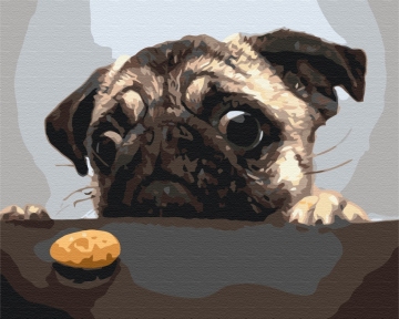 Картини за номерами Мопс 48x60 Brushme BS8765L