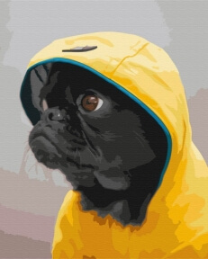 Картины по номерам Мопс в худі 40x50 Brushme BS52614