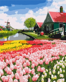 Картини за номерами Голландська провінція 48x60 Brushme BS52716L