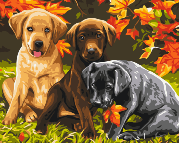 Картини за номерами Три цуценя 40x50 Brushme BS6530