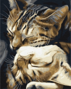 Картини за номерами Спальні котики 48x60 Brushme BS29747L